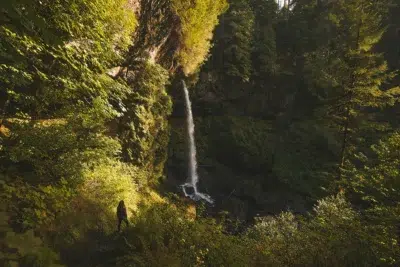 7 bonnes raisons et bienfaits d’aller se balader en forêt ce week-end !