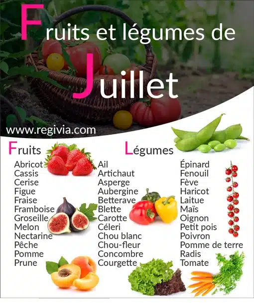 Liste des fruits et légumes de saison du mois de juillet