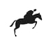 Calories burned horse riding