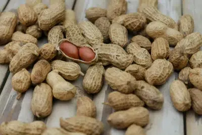Est-ce que les cacahuètes sont bonnes pour la santé ?