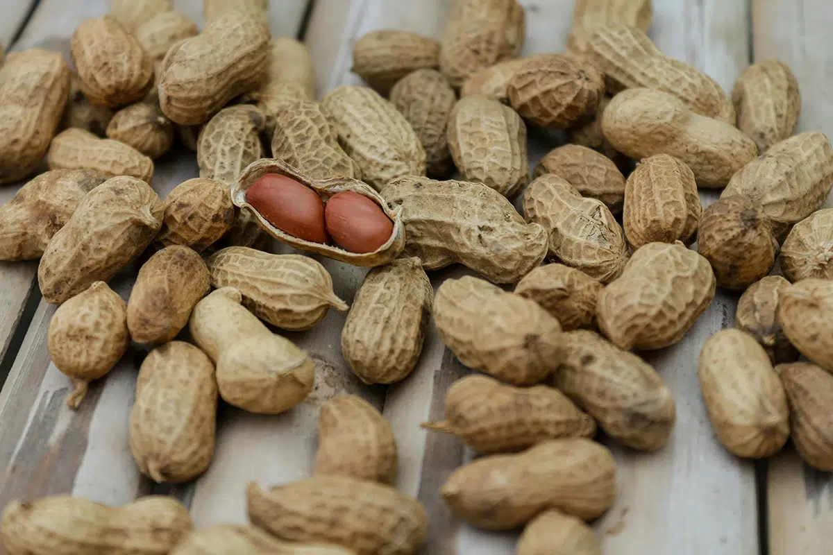 Est-ce que les cacahuètes sont bonnes pour la santé ?
