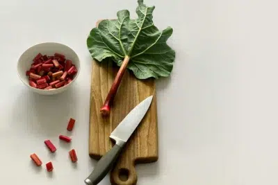 Les bienfaits de la rhubarbe sur la santé