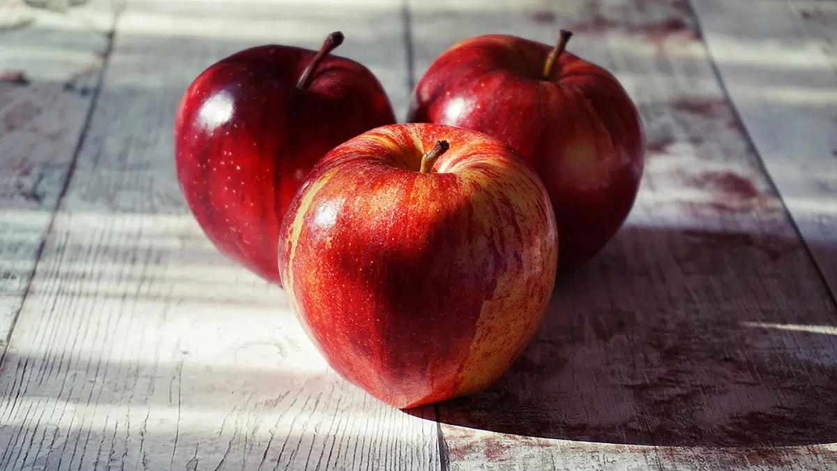 Perte de poids : 10 collations à moins de 100 calories pour une pause gourmande et légère
