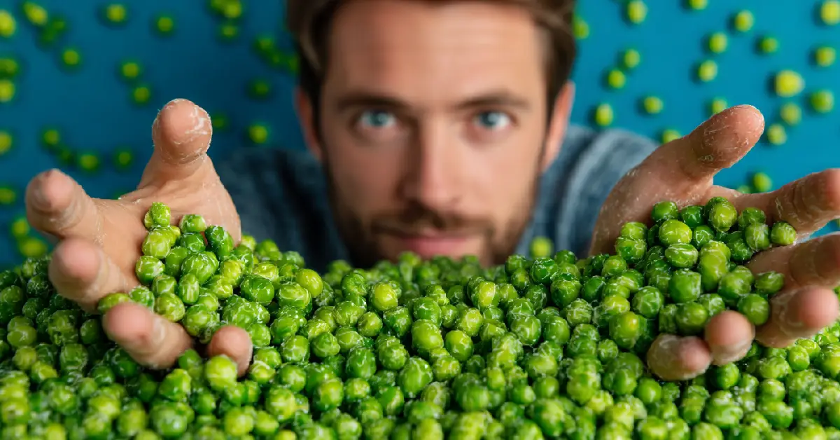 Petits pois : bienfaits, recettes et valeurs nutritionnelles
