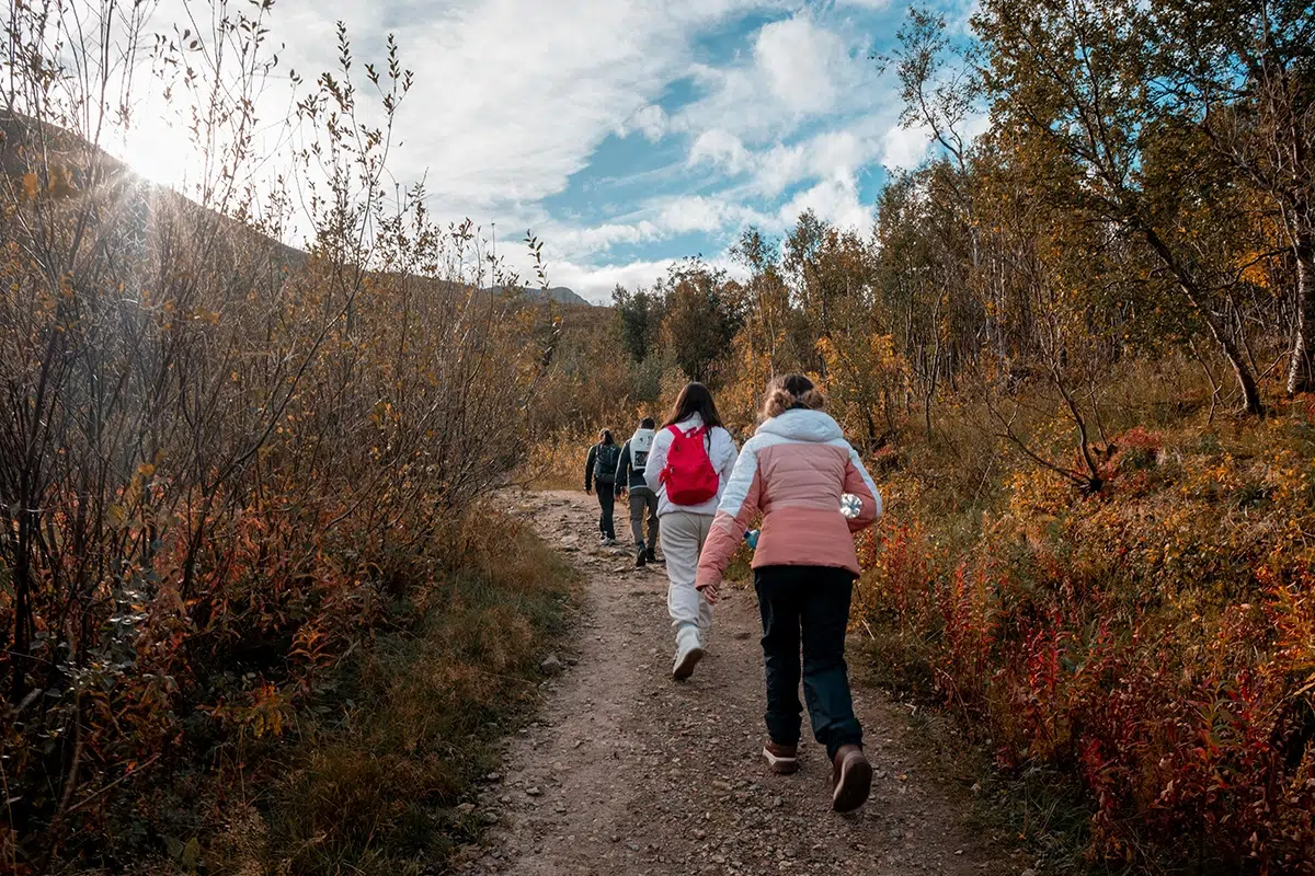 Pourquoi bouger les bras en marchant est essentiel pour une marche efficace ?
