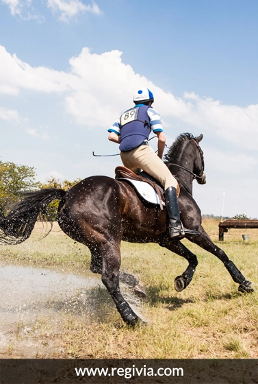Equipements Indispensables pour l'équitation - monter à cheval