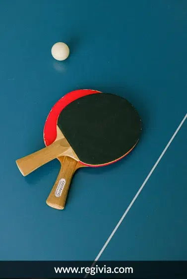 La Meilleure Raquette de Tennis de Table pour Débutants