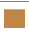 Quelle couleur de cheveux choisir quand on a la peau foncée et le teint de métisse ou caramel ?