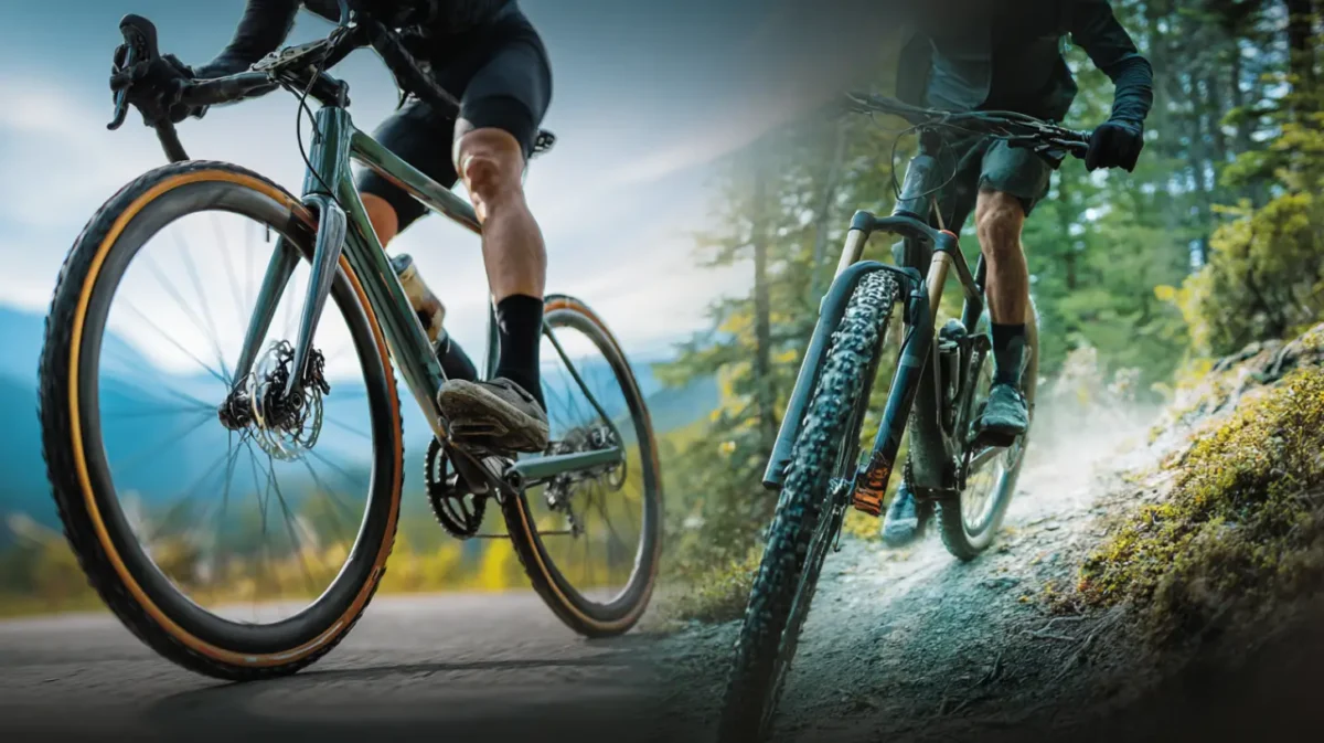 Vélo de route ou VTT, lequel brule le plus de graisse ?